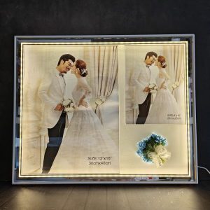 LED Frames